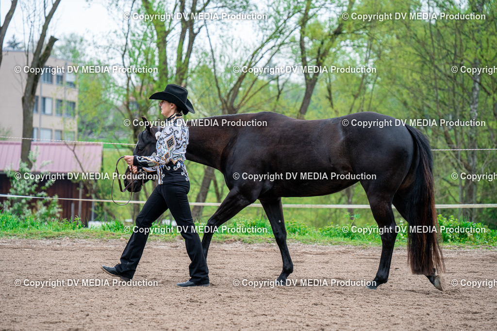 BA300130 | dv-media-shop - Realisiert mit Pictrs.com