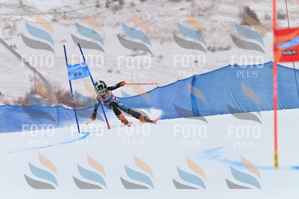 BGV_0207 | holidayphoto