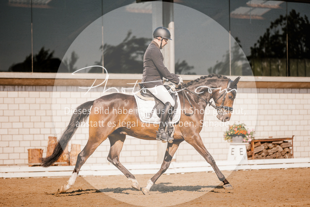 3I6A8882 | Stimmungsvolle Portraits und Reitsportfotografie im Ruhrgebiet und im Münsterland.

Pferdefotografie, Hundefotografie, Tierfotografie, Reportagen, Portraits von Tier und Mensch, Turnierfotografie in Bochum, Recklinghausen, Marl, Haltern am See, Dülmen.. - Realisiert mit Pictrs.com