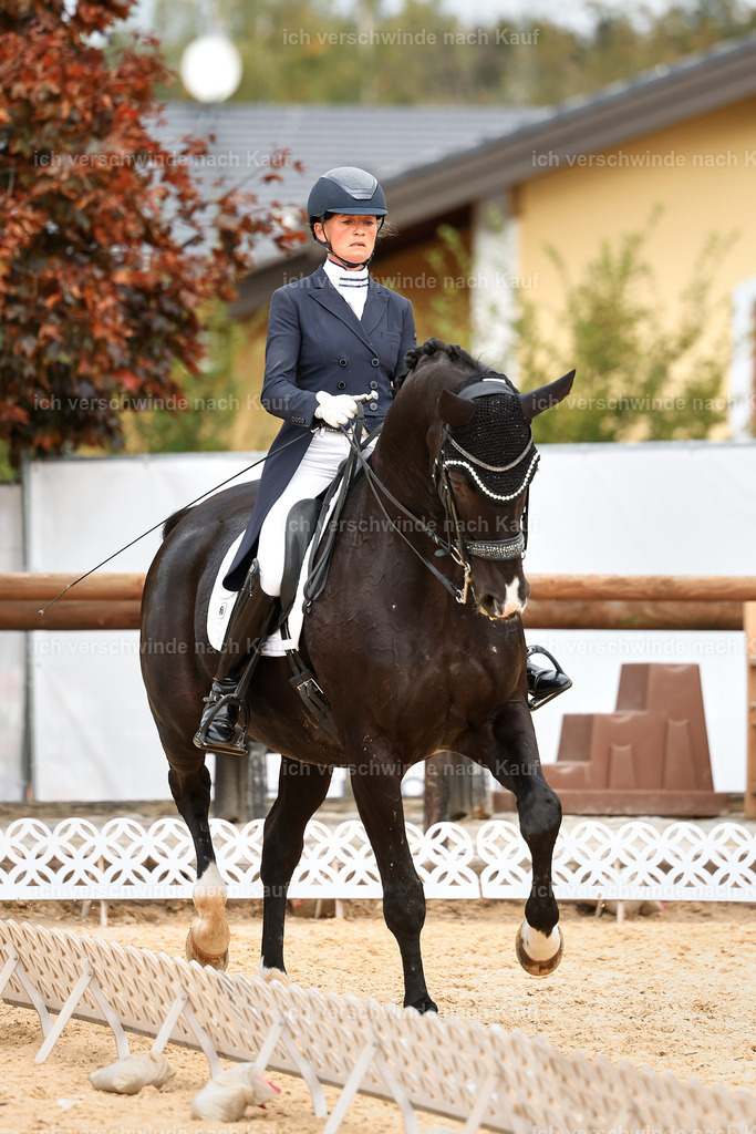 11-042-Dressur S___-StoibPH-1186 | working equitationturnier fotograf videograf stoibphotography marixx film working equitation deutschland reitsport turnierfotografie eventfotografie equestrian events