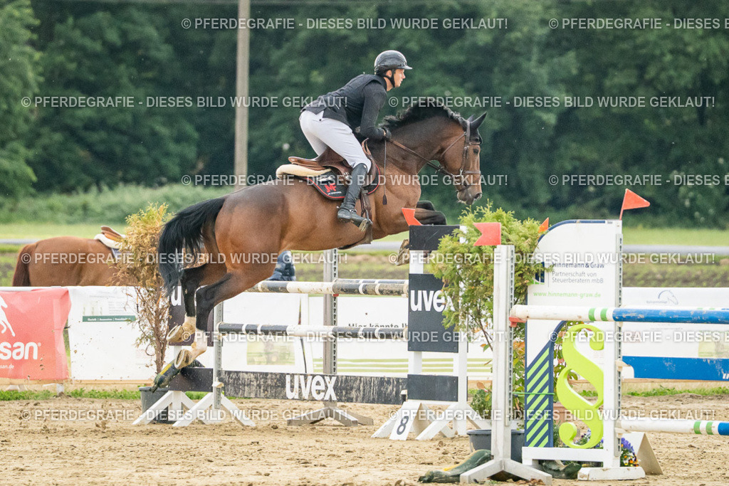 DSC07134 | Pferdegrafie