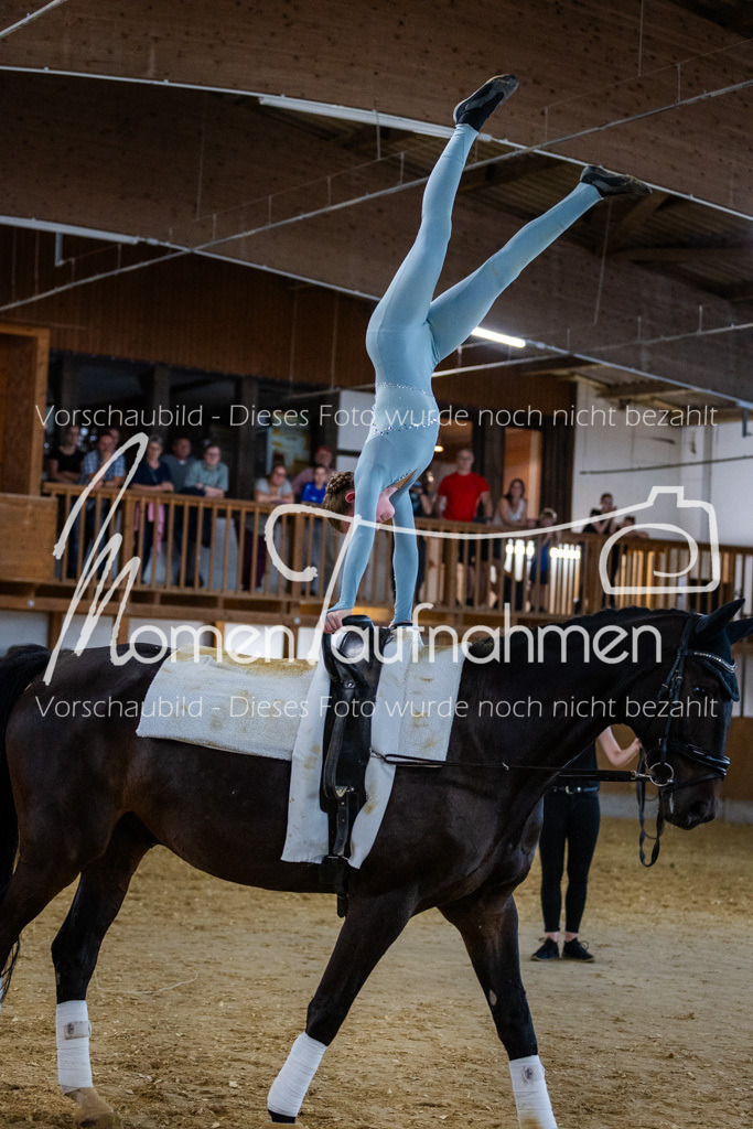 Einzel-022 | MomenTaufnahmen Pferdesportfotos