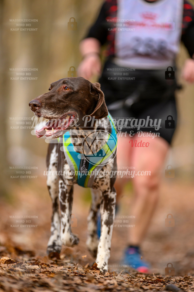 MompixPhotography_Habay2025_SA_CCC-207 | PayLife