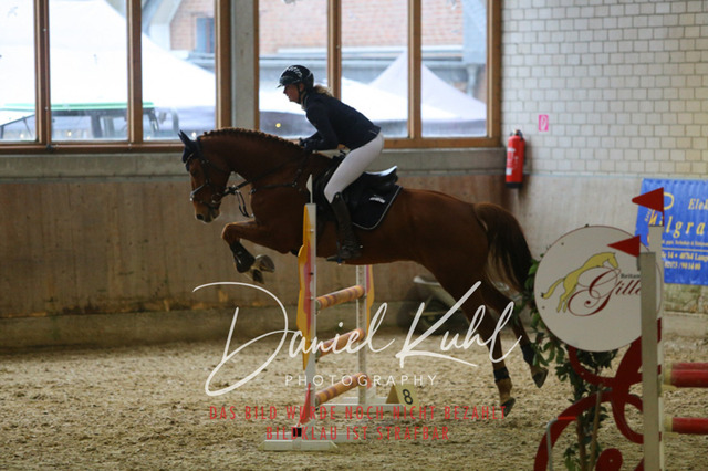 IMG_0760 | Deine Turnierfotos vom Reitturnier online kaufen: Dressur, Springen & Siegerehrung. Professionelle Pferdefotografie aus dem Rheinland – als Download & Print.Alternative: Turnierfotograf für den Pferdesport: Finde deine Fotos von Dressur- und Springturnier