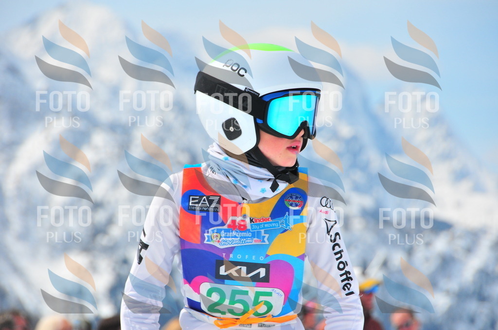 DSC_2374 | holidayphoto