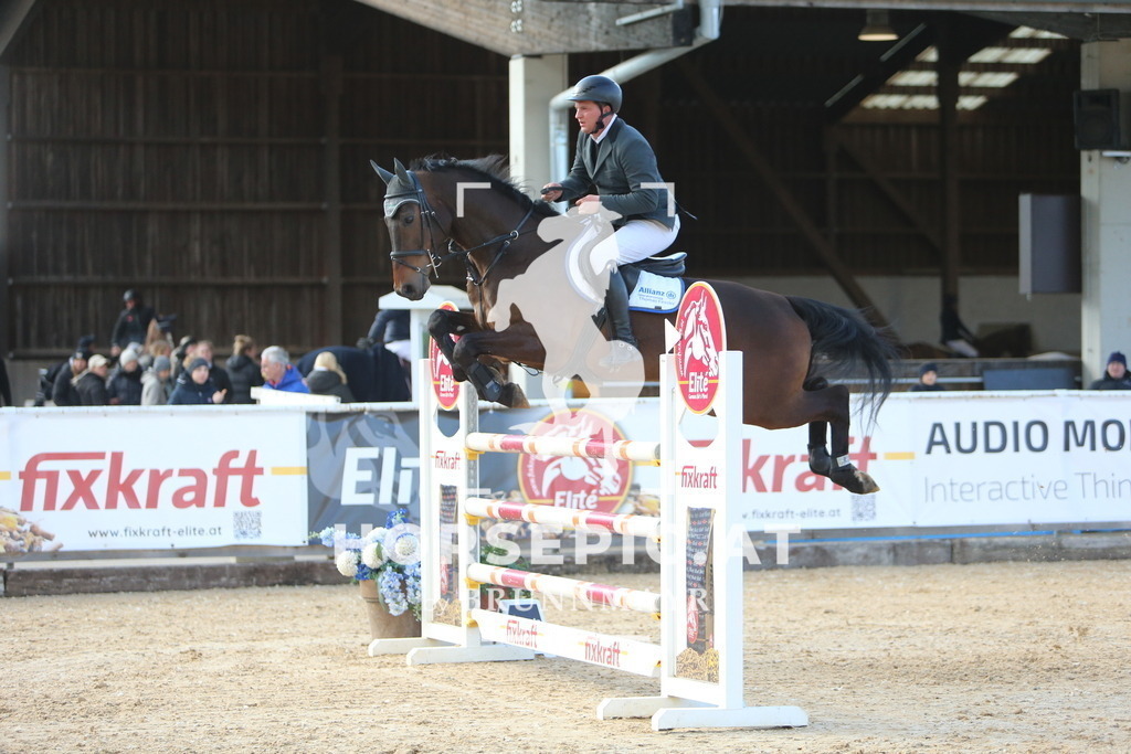 DL2Q1136 | Willkommen bei Brunnmayr - Design & Fotografie – Ihrem Spezialisten für Reitturniere und Pferdeveranstaltungen in Oberösterreich, Salzburg und Bayern! Seit über 17 Jahren sind wir leidenschaftlich dabei.