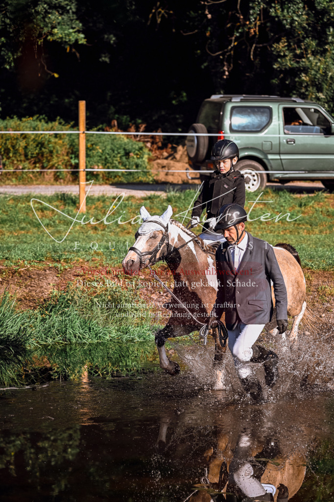 DSC_0335 | Pferde- und Turnierfotografie in Westsachsen. Pferdeportraits, Auftragszeichnungen und intuitive Kunst.