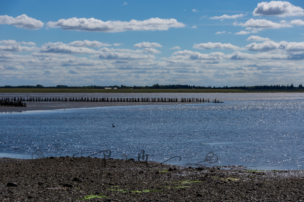 IMGP0449 | Nordseeinsel Mandö - Realisiert mit Pictrs.com