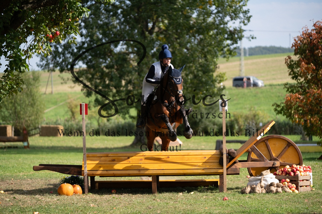 A7V03867 | Pferdefotograf