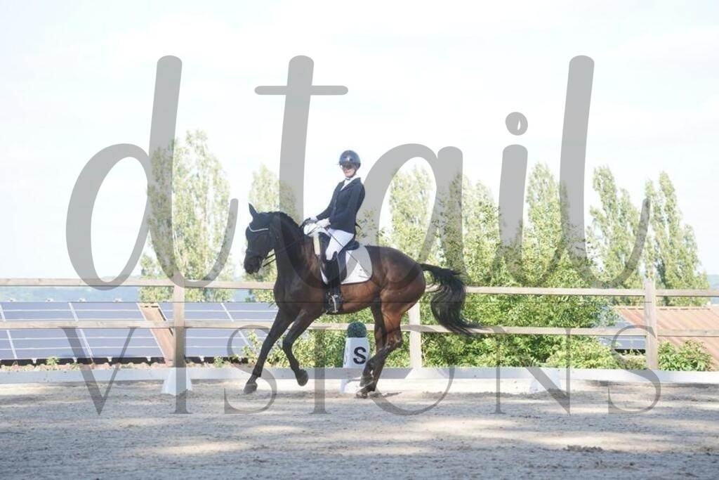 tgbhsonntag (395) | d.tail Visions - Shop - Realisiert mit Pictrs.com