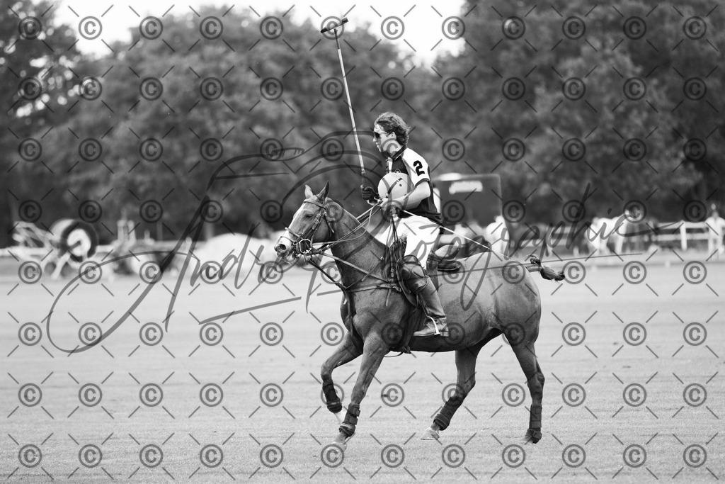 POL_3960-2 | andre_photographic