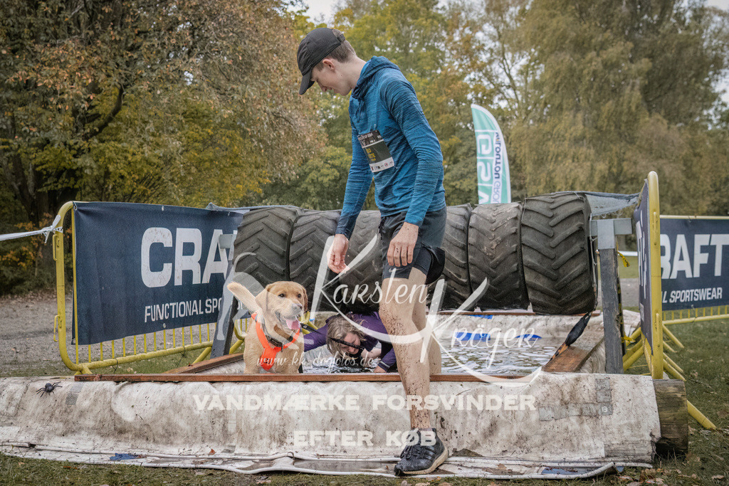 1649_ZZ94195 | kk-dogfotos