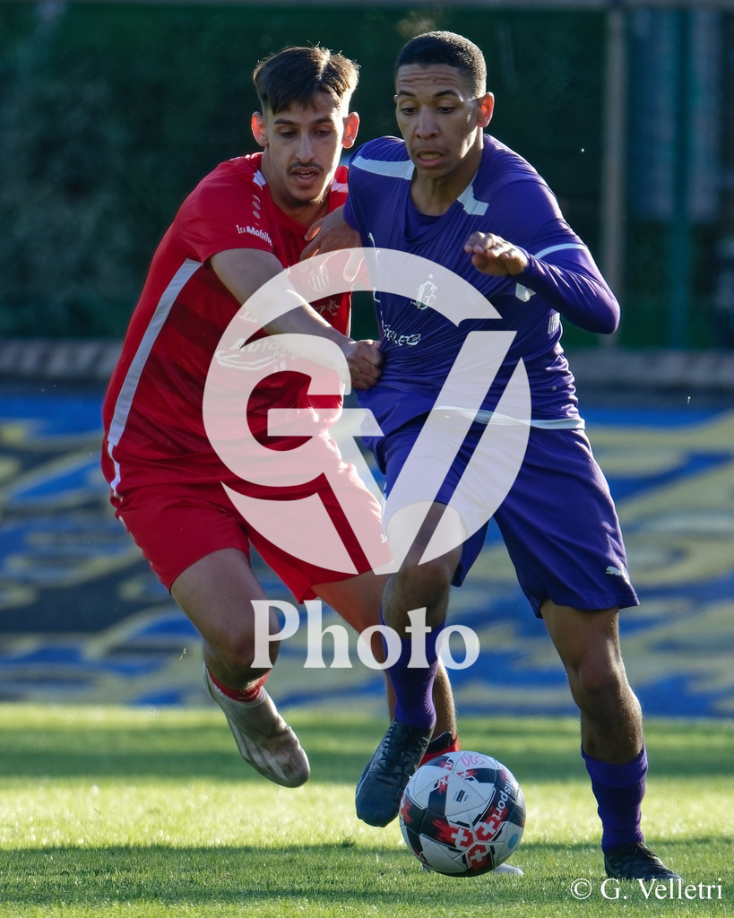 DSC_8048 | Velletri Photo