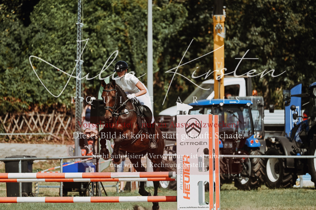 DSC_9995 | Pferde- und Turnierfotografie in Westsachsen. Pferdeportraits, Auftragszeichnungen und intuitive Kunst.