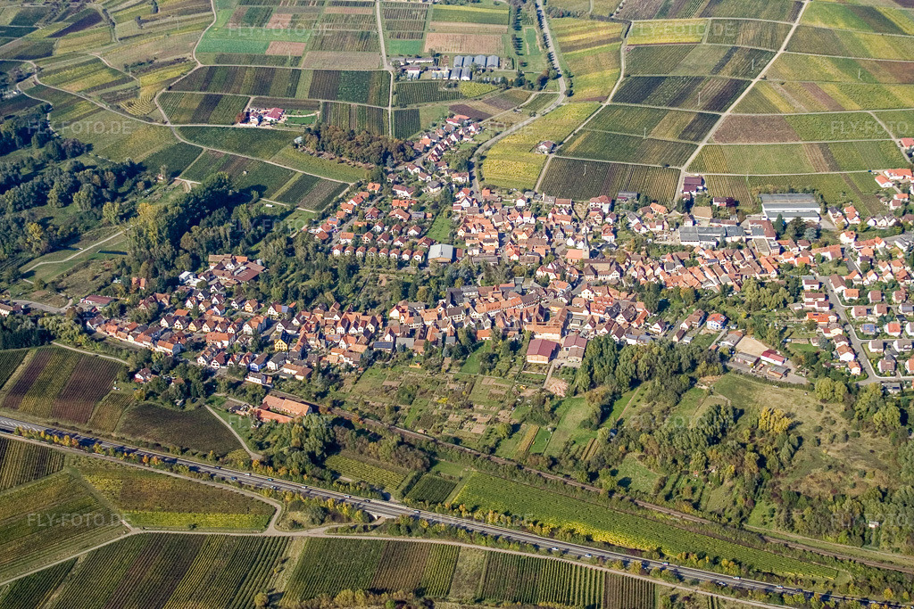 Luftbild: Winzerdorf von Süden in Siebeldingen im Bundesland Rheinland-Pfalz in Deutschland. Foto: IMG_8340.jpg vom 07.10.2007 durch Werner Riehm/FLY-FOTO.de