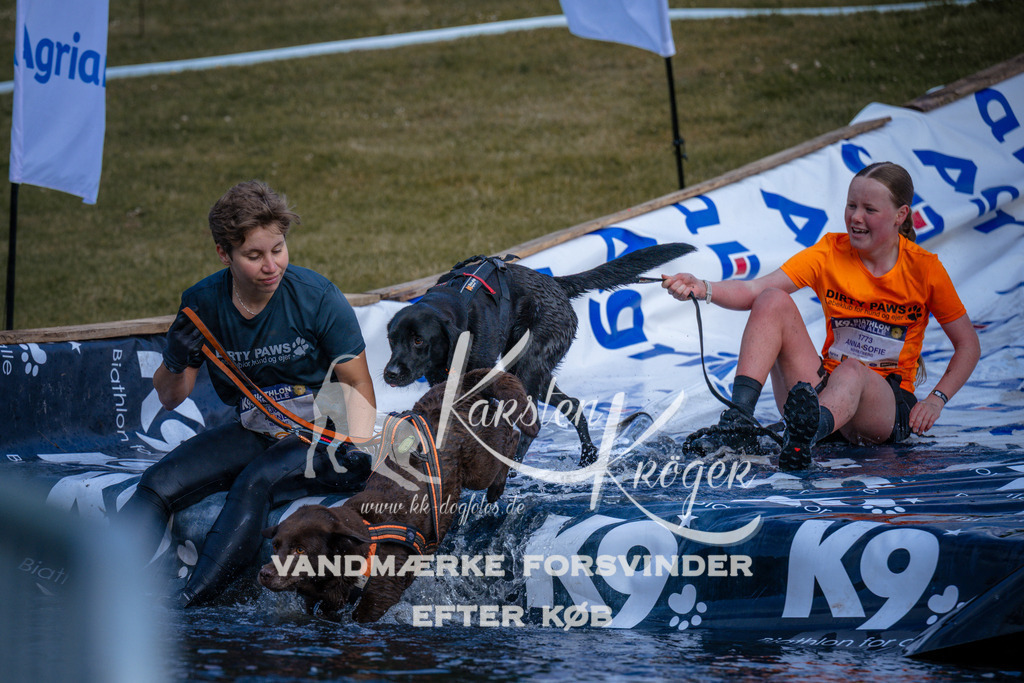 _ZZ971560742 | kk-dogfotos