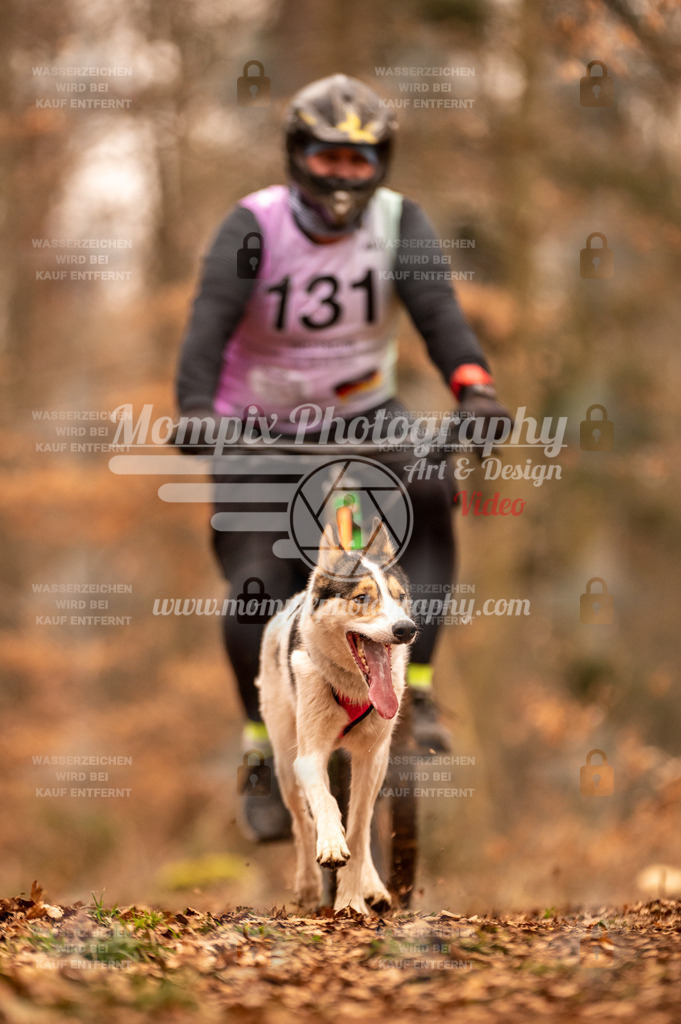 AKM_ST_2023_SAM_Bike-174 | PayLife