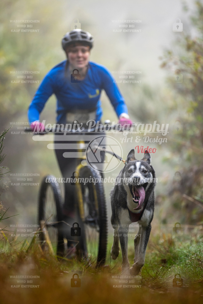 MompixPhotography_20TSB_E4_DS1-31 | PayLife