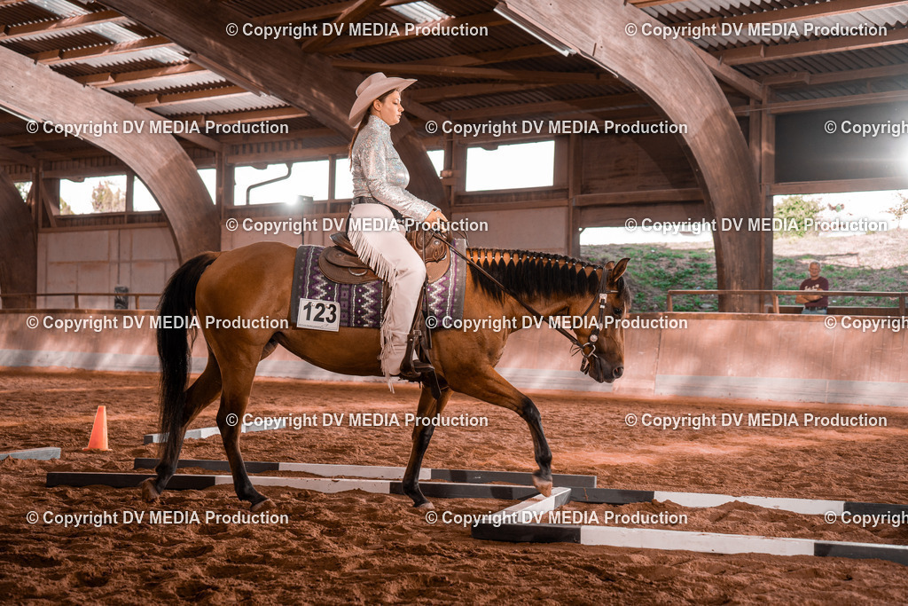 NE200109 | dv-media-shop - Realisiert mit Pictrs.com