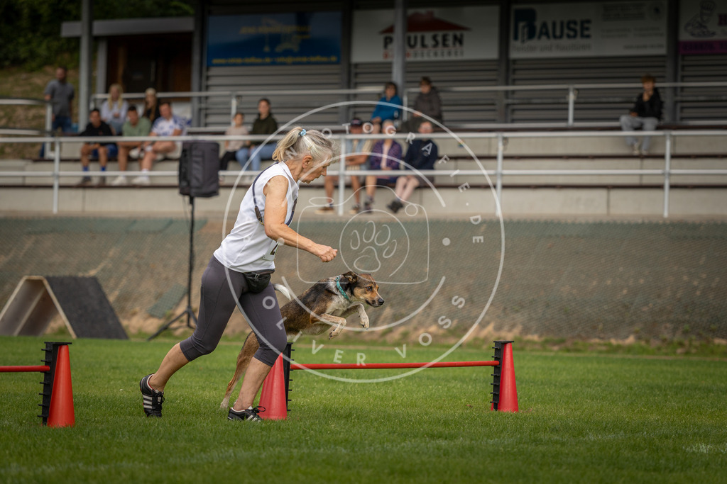 Pfotenfotografie_DV3A7724 | Hundefotografie, Tierfotograf, Pfotenfotografie, Fotoshooting Hund, Hunde Portrait, Hundesport, Hundeportraits, Heideshooting, Hunde, Sportfotograf, Hundefotograf, Turnierhundsport, THS,  - Realisiert mit Pictrs.com