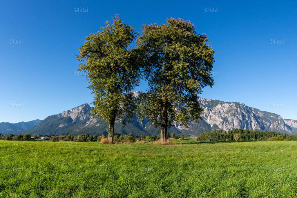 Dobr Panorama 2025 (Hohenthurn)_172421__fatzi-Pano | Fatzi Bilder-Archiv! 
Die Bilder sind für private Nutzung lizenzfrei. Die kommerzielle Nutzung ist möglich und erwünscht, jedoch bitte ich um vorherige Kontaktaufnahme per E-Mail (info@fatzi.at) oder unter +43 650 7828269 - Realisiert mit Pictrs.com