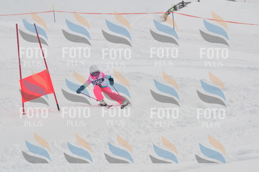 A5121 | holidayphoto