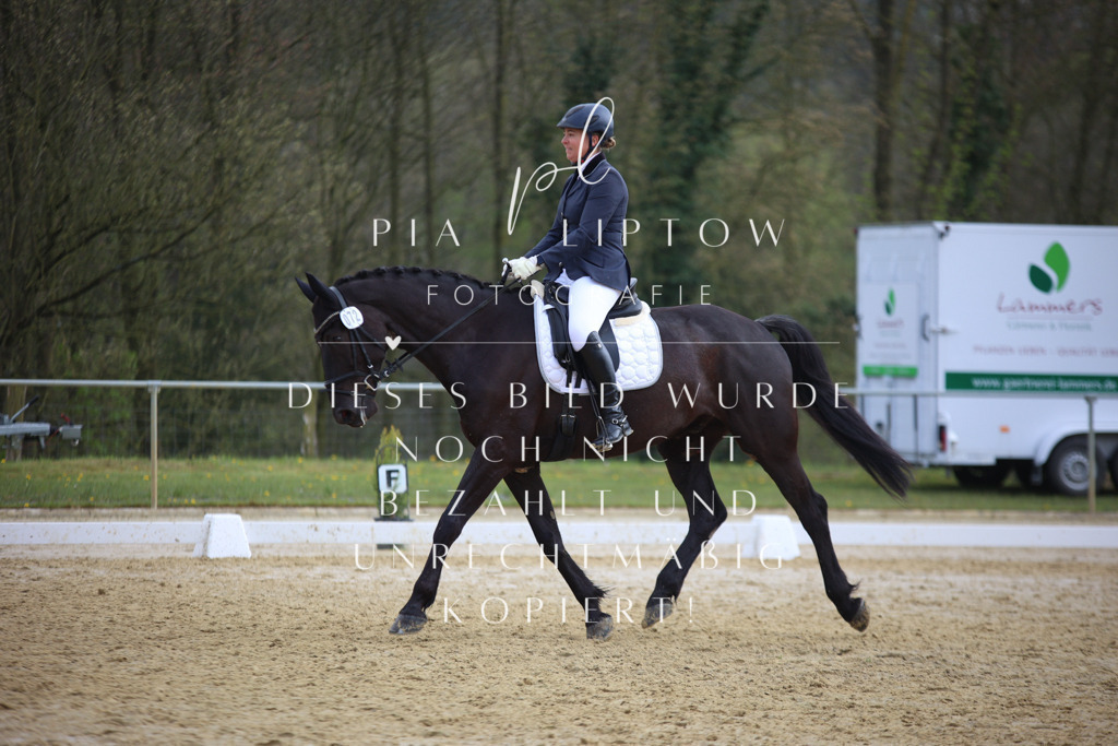 IMGT5709 | pl-fotografie