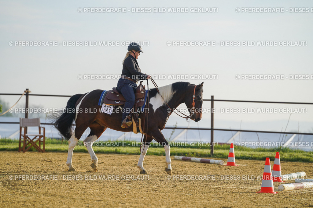 DSC09863 | Pferdegrafie