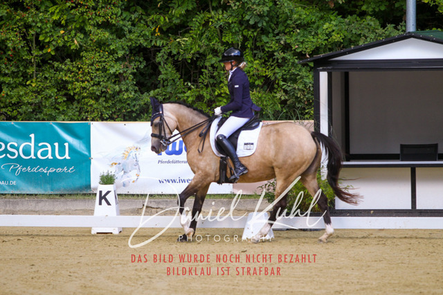 DKP40874 | Turniersportfotografie; Pferdefotografie; Dressurfotografie