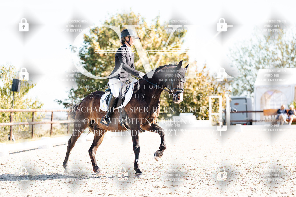 CK909074 | Turnierfotografie Pferdefotografie Trier Rheinland-Pfalz Pferdesport Reitsport Tierfotografie Sportfotografie Pferdevideo Pferdevideografie Equestrianvideography equestrianphotography  - Realisiert mit Pictrs.com