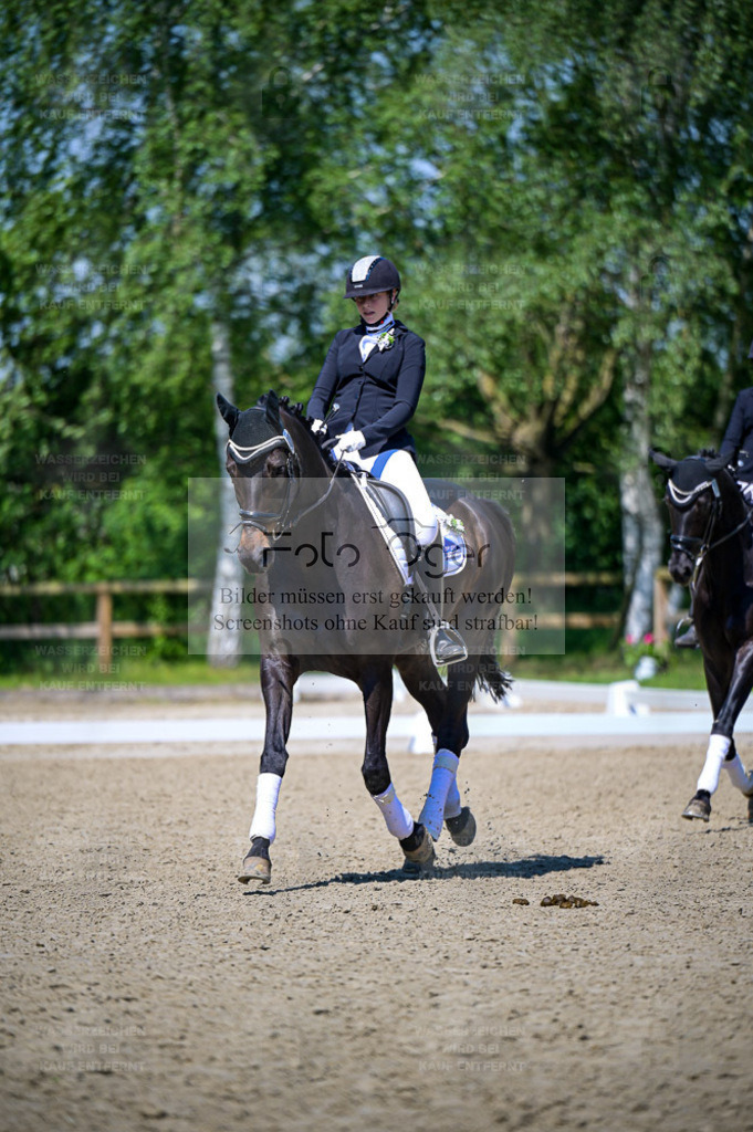 Reitturnier Lienen | Entdecke hochwertige Reitturnierfotos von Foto Oger. Professionell, emotional und authentisch – jetzt Lieblingsmomente im Shop bestellen. - Realisiert mit Pictrs.com