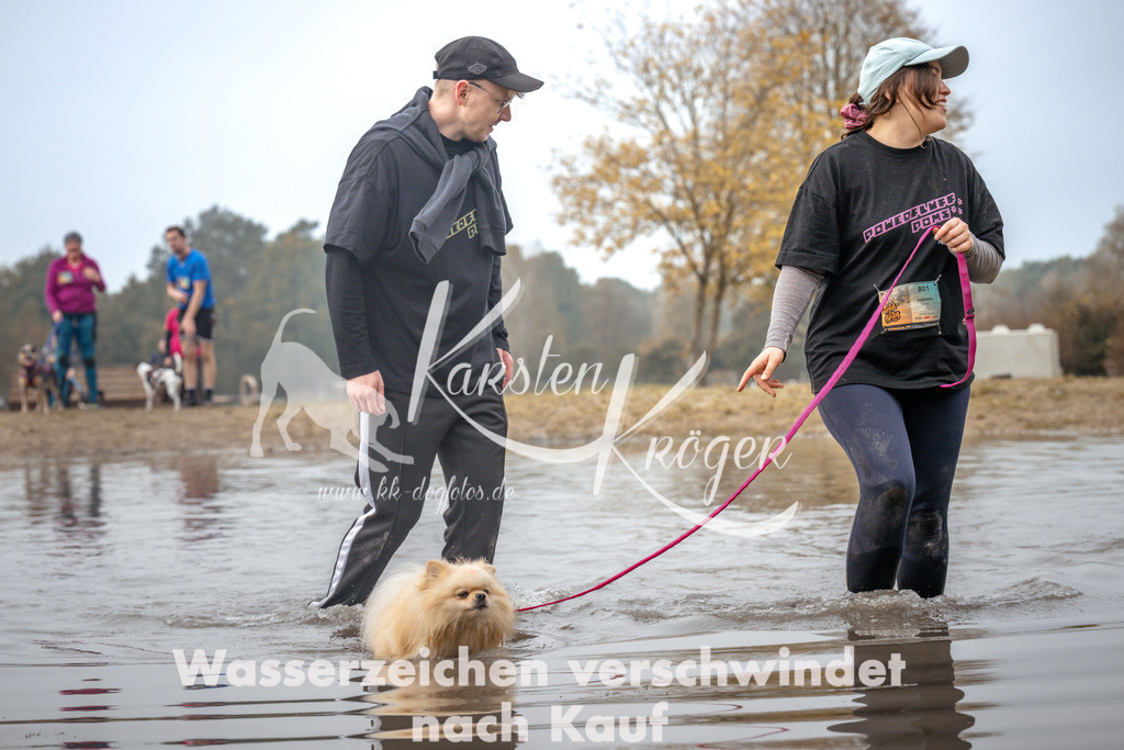 1113_ZZ93240 | kk-dogfotos