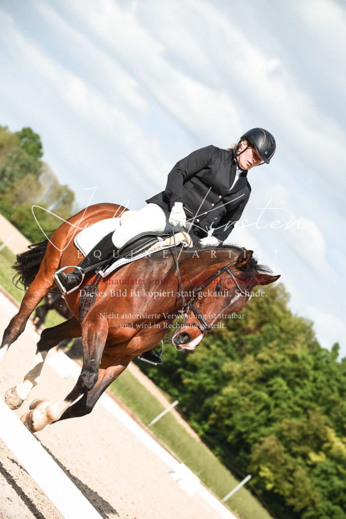 20230518_JK-Röhrsdorf-12-0408 | Pferde- und Turnierfotografie in Westsachsen. Pferdeportraits, Auftragszeichnungen und intuitive Kunst.