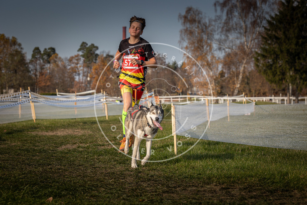 CaniXpix_0L8A9694 | Hundefotografie, Tierfotograf, Pfotenfotografie, Fotoshooting Hund, Hunde Portrait, Hundesport, Hundeportraits, Heideshooting, Hunde, Sportfotograf, Hundefotograf, Turnierhundsport, THS,  - Realisiert mit Pictrs.com