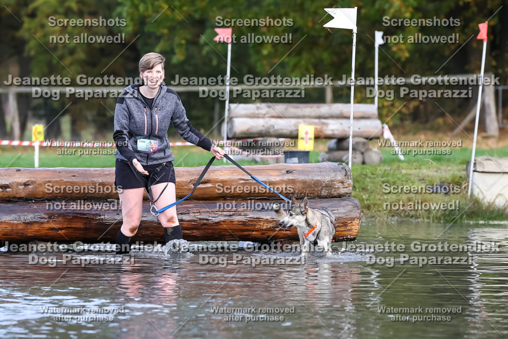 Dog Paparazzi - Strongdog 10-25-6874 | Dog Paparazzi Jeanette Grottendiek Fotografie & Videografie - Realisiert mit Pictrs.com