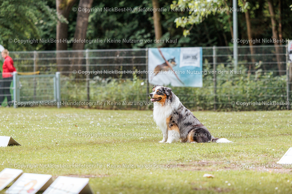 RO-Blumenthal-2026-Nickbest-Hundefotografie-2487 | Dein Hund! Dein Moment! Deine Erinnerungen! Hundefotografie in Bremen Blumenthal. Ich fange die besonderen Momente deines Vierbeiners ein – ob Indoor mit Blitzanlage oder in der freien Natur. Sicher dir dein Moment und dein Termin für eure Erinnerungen.