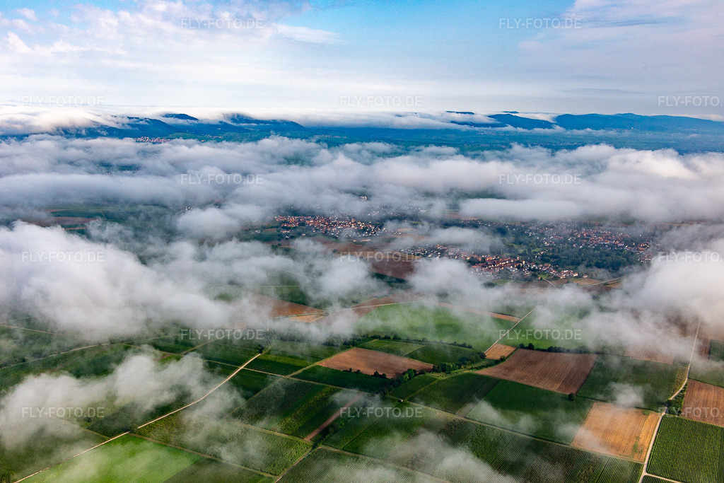 Luftbild: Unter tiefen Wolken im Ortsteil Ingenheim in Billigheim-Ingenheim im Bundesland Rheinland-Pfalz in Deutschland. Foto: IMG_142897.jpg vom 03.08.2024 durch Werner Riehm/FLY-FOTO.de