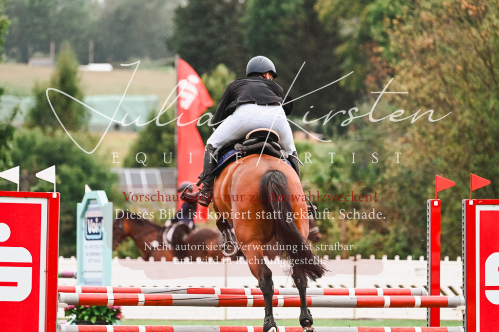 DSC_6340 | Pferde- und Turnierfotografie in Westsachsen. Pferdeportraits, Auftragszeichnungen und intuitive Kunst.