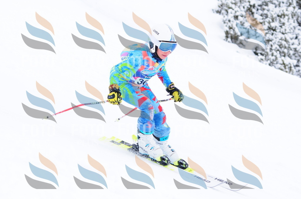 C3952 | holidayphoto