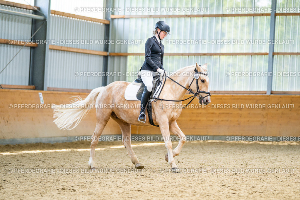 DSC04426 | Pferdegrafie