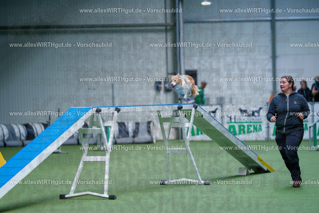 @allesWIRTHgut_Tierfotografie - www.allesWIRTHgut.de - 2604260920-7R507365 | Professionelle Tierfotografie in Mönchengladbach von Daniel Wirth (allesWIRTHgut). Liebevolle & natürliche Bilder von Hunden & Katzen für unvergessliche Erinnerungen.