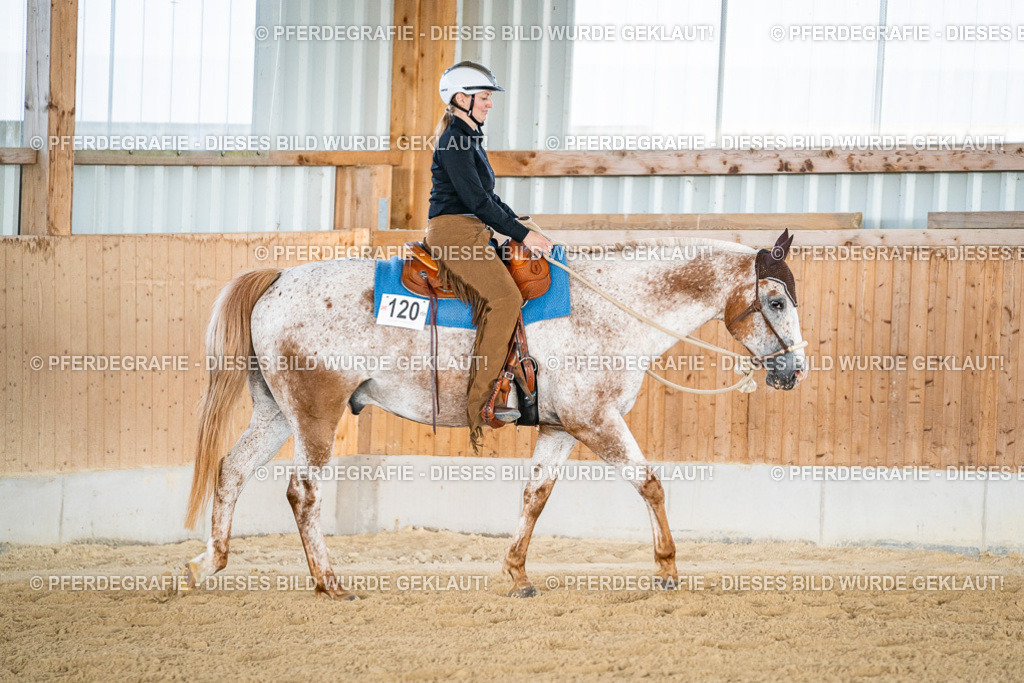 DSC08476 | Pferdegrafie