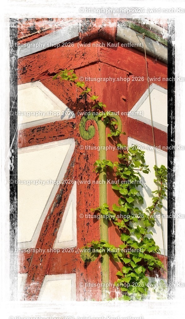 2022-04-29_FT-125_Oberkaufungen_DSC_0449_b-095_pe-06 (Kopie) | titusgraphy-shop: Geschenkideen mit Qualitätsfotos. titusgraphy-shop: gift ideas with quality photos. titusgraphy-shop: idées cadeaux avec photos de qualité.  - Realisiert mit Pictrs.com