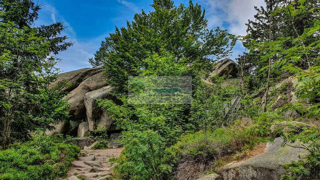 Nußhardt Sommer | Impressionen rund um Hochfranken - Frankenwald - Fichtelgebirge - Realisiert mit Pictrs.com