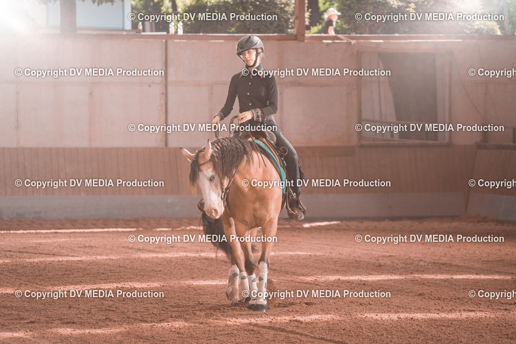 NE201110 | dv-media-shop - Realisiert mit Pictrs.com