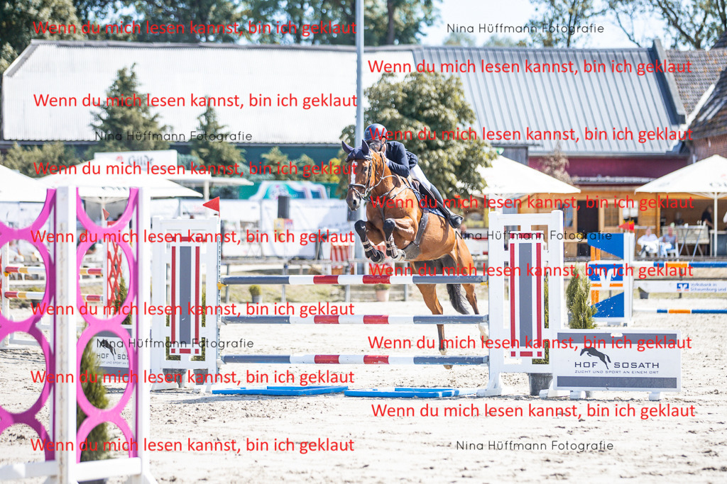 BK1A6417 | Turnierbilder Turnierfotos Nina Hüffmann Turnierfotografie Pferdefotografie Tierzeichnung Haustierzeichnung Pferdezeichnung Hundezeichnung Videograf  - Realisiert mit Pictrs.com