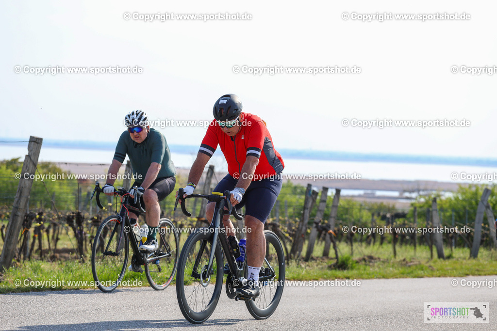 IMG_1936 | @sportshot_your_pictrs #yourpictures#roadtowm2029 #nrm #neusiedlerseeradmarathon #neusiedlersee #neusiedlerseetourismus #burgenland #mörbisch #nrm26 #burgenlandtourismus #voglundco #poweredbyburgenlandtourismus #radsport #rad #marathon #ucigranfondo #visitburgenland #ucigranfondoworldseries