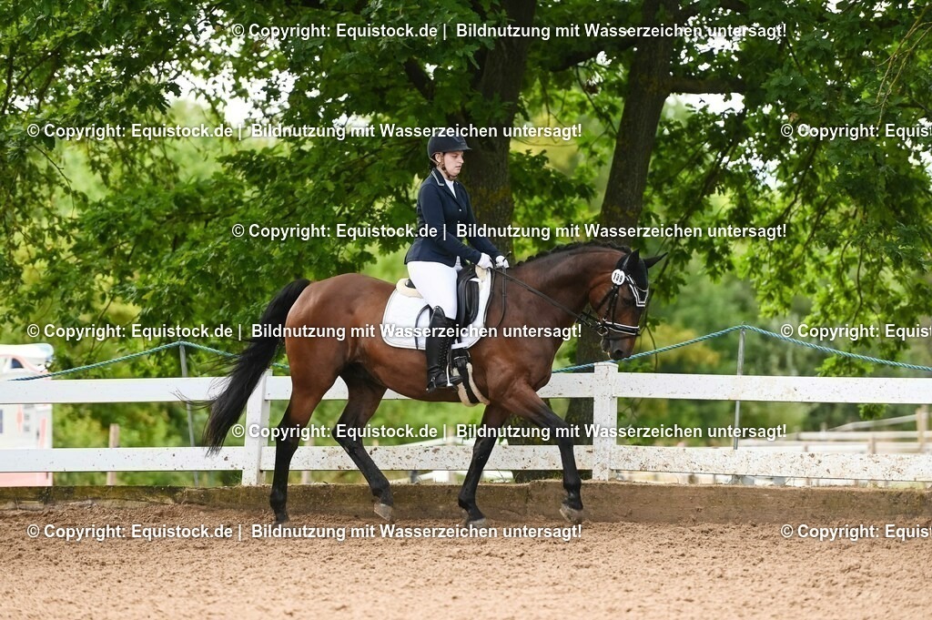 20230716_04_Dressurreiterprüfung Kl.A_0291 | equistock