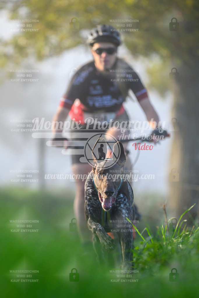 MompixPhotography_20TSB_E3_Bike-39 | PayLife