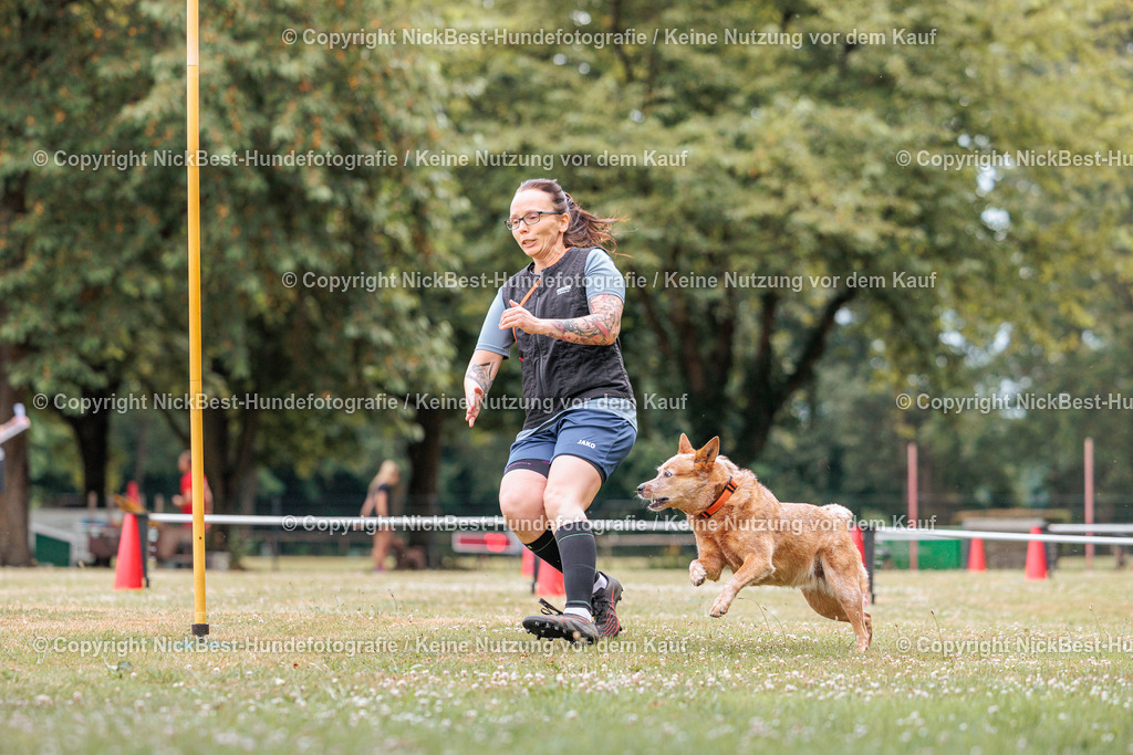 THS-Quakenbrück-2026-Nickbest-Hundefotografie-2540 | Dein Hund! Dein Moment! Deine Erinnerungen! Hundefotografie in Bremen Blumenthal. Ich fange die besonderen Momente deines Vierbeiners ein – ob Indoor mit Blitzanlage oder in der freien Natur. Sicher dir dein Moment und dein Termin für eure Erinnerungen.